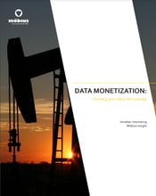Data monetisation