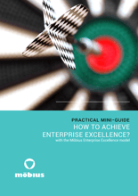 How to achieve enterprise excellence with the Möbius Enterprise Excellence model?